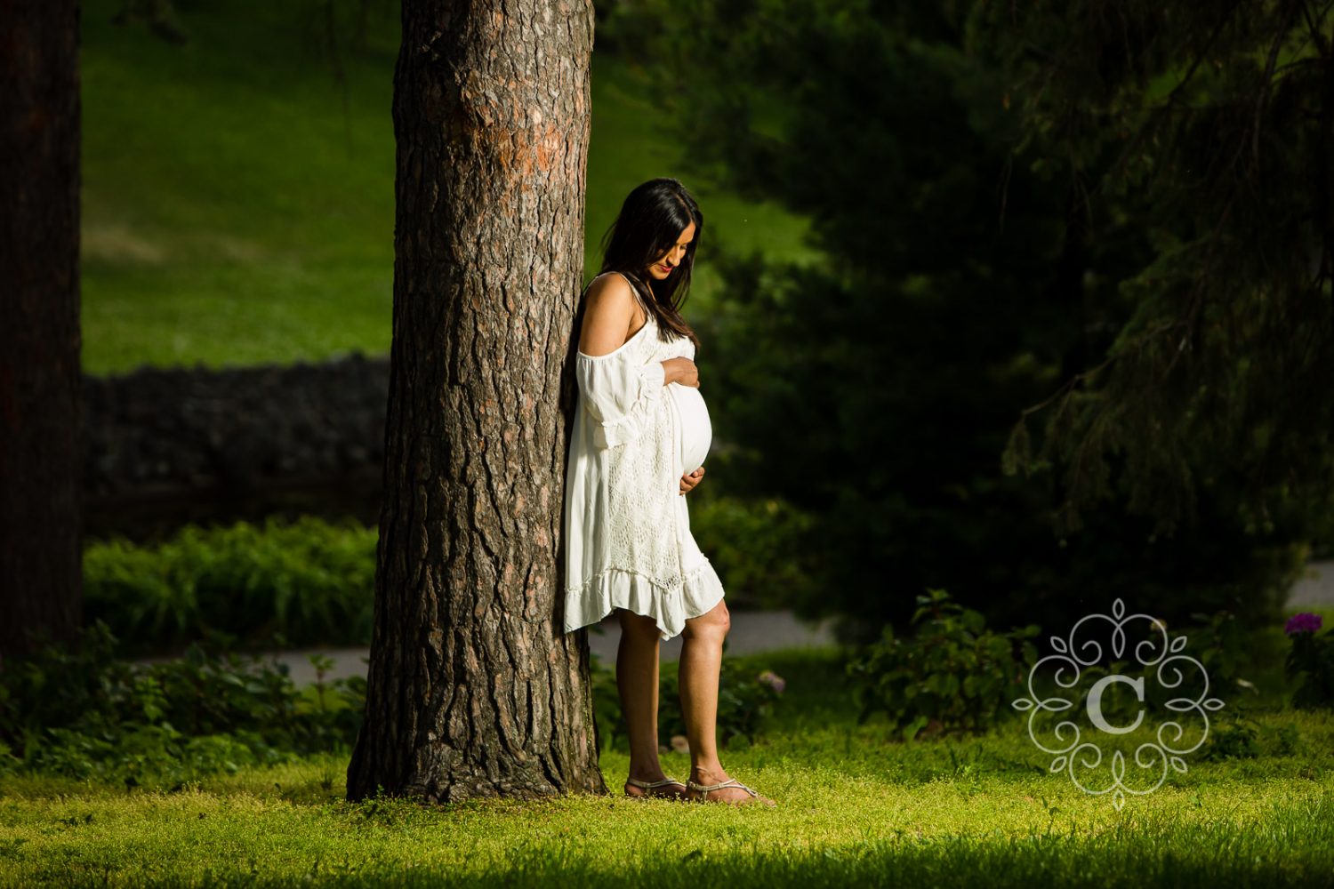 Minneapolis Maternity Photography by Carina Photographics