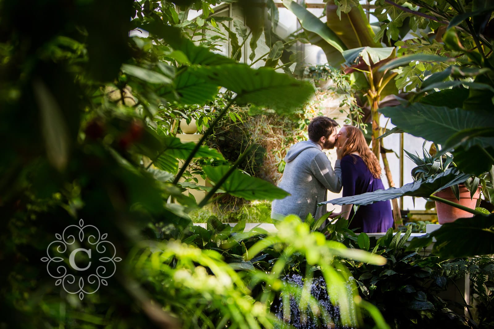 Como Park St Paul MN Engagement Session