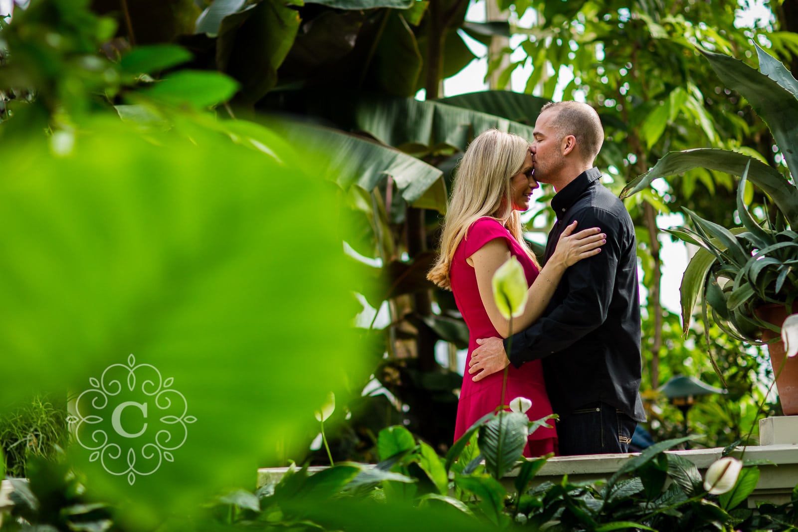 Marjorie McNeely Conservatory St Paul MN Photos