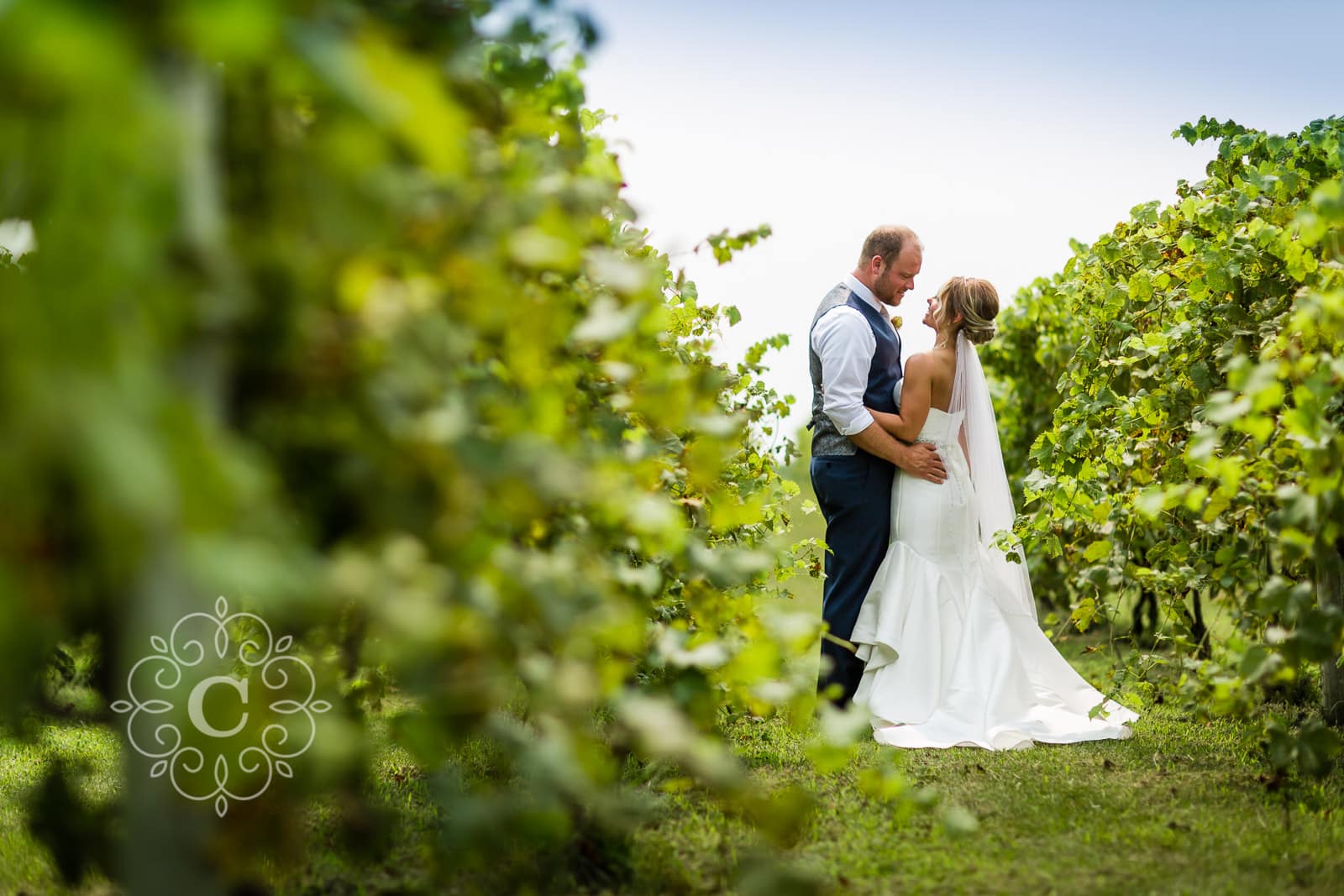 Beer Vineyard Wedding Photos