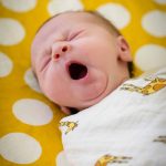 Newborn Photographer Twin Cities