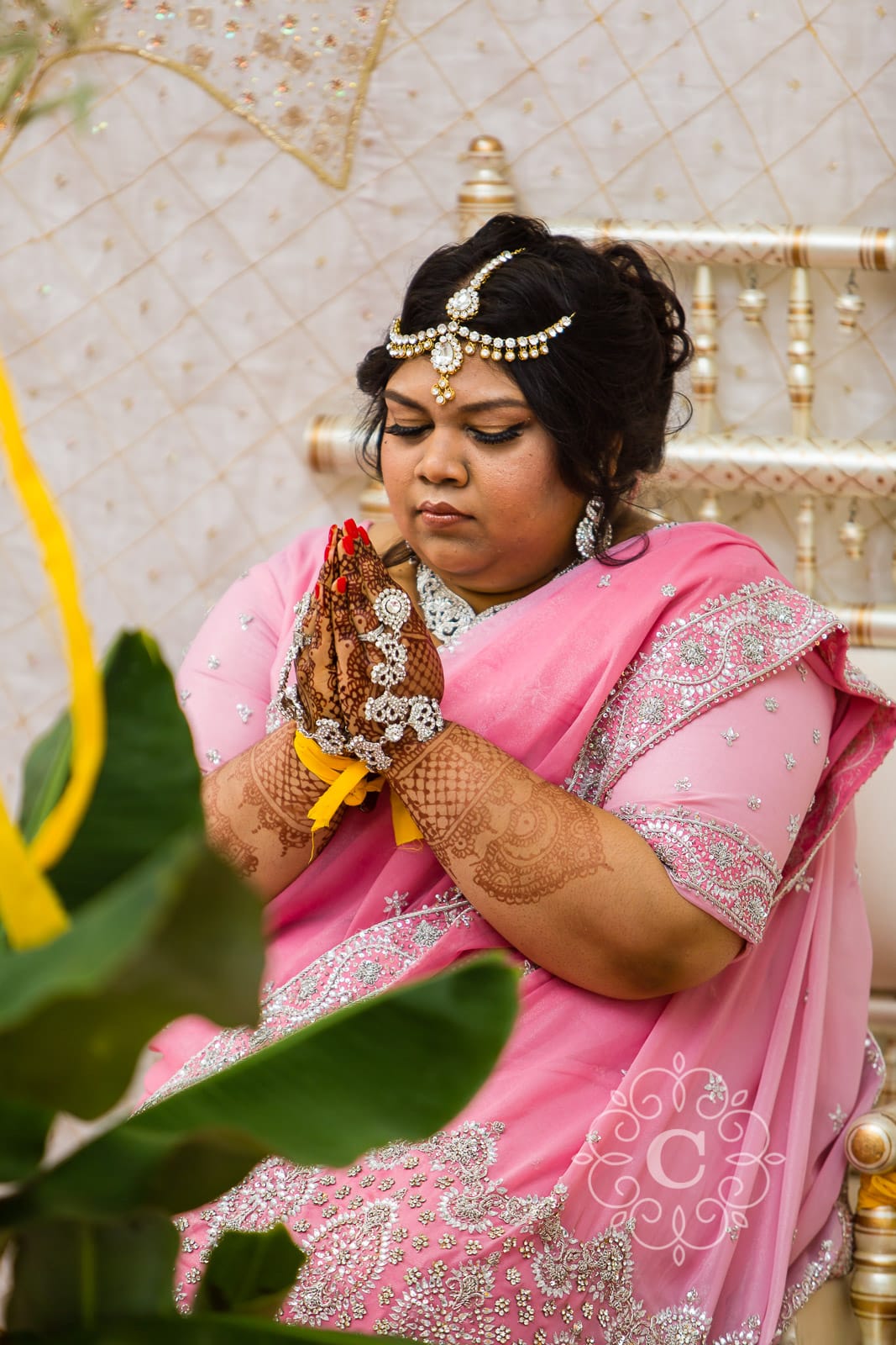 Minnesota Hindu Wedding Photo