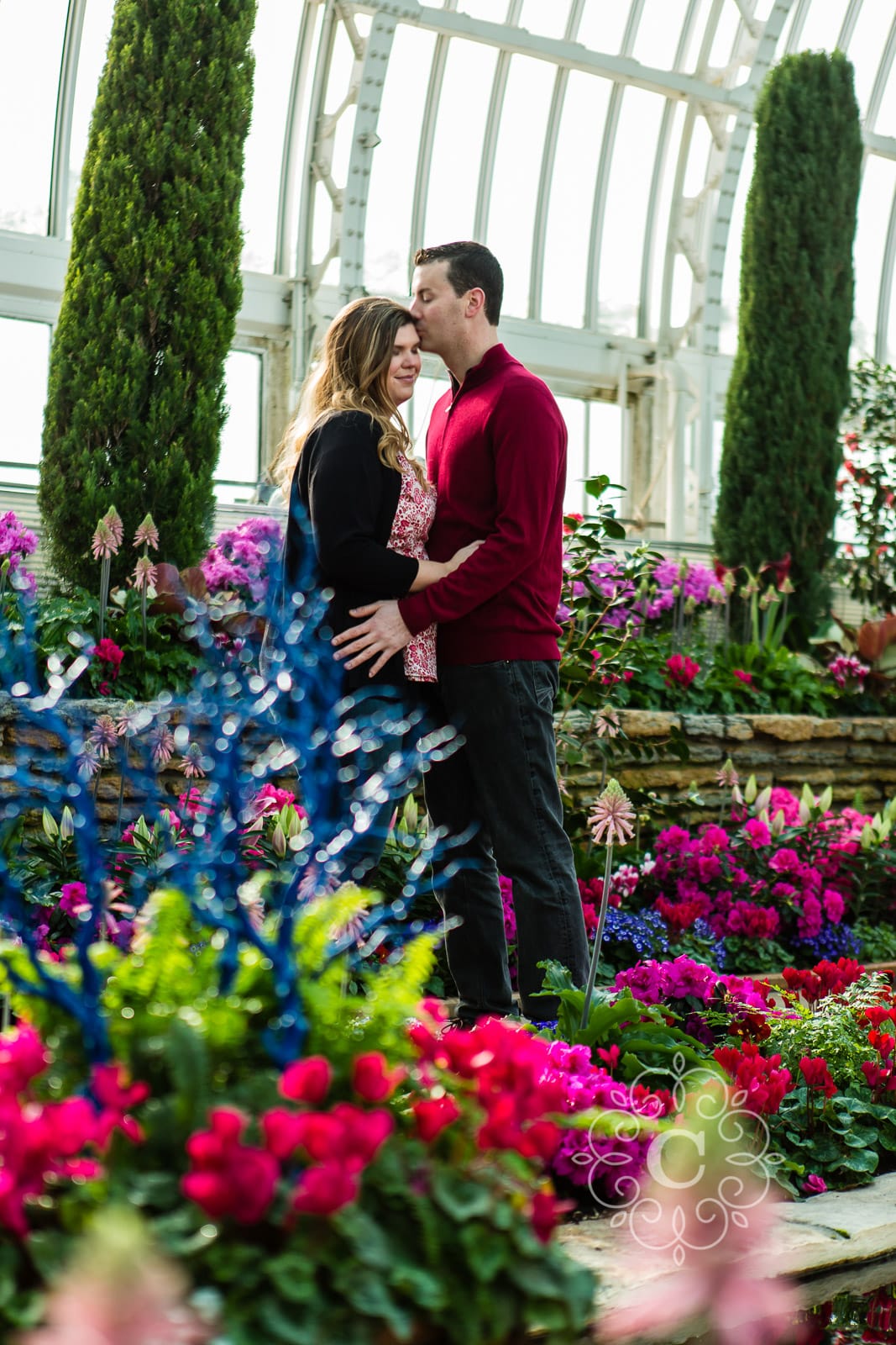 Sunken Garden Como Conservatory Engagement Photo