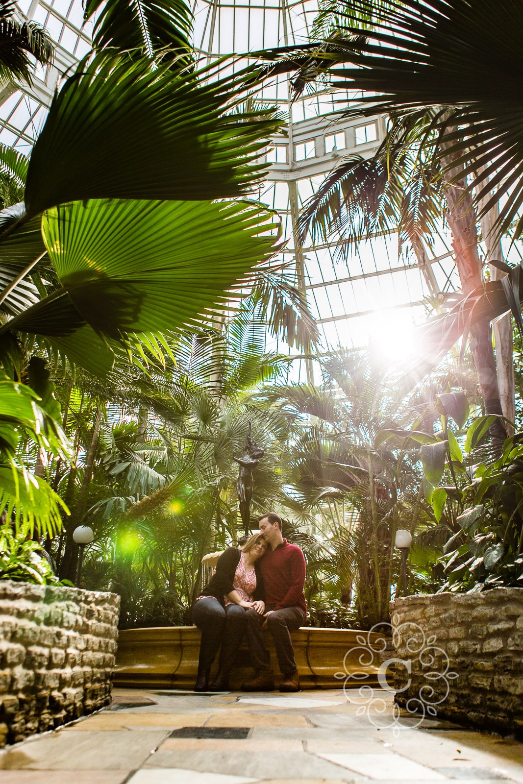 Palm Dome Como Conservatory Engagement Photo