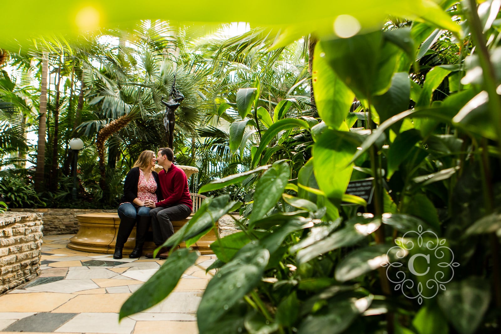 Palm Dome Como Conservatory Engagement Photo