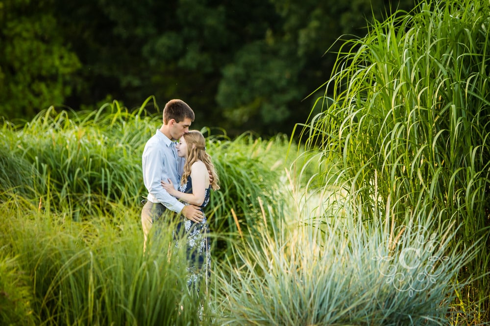 U of MN Landscape Arboretum Engagement Photography