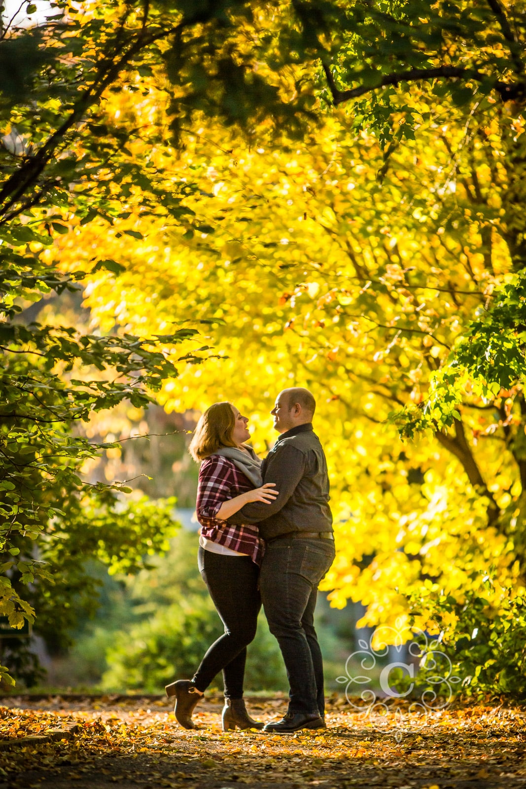 MN Landscape Arboretum Fall Engagement Photo