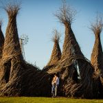 Minnesota Landscape Arboretum Engagement Photo