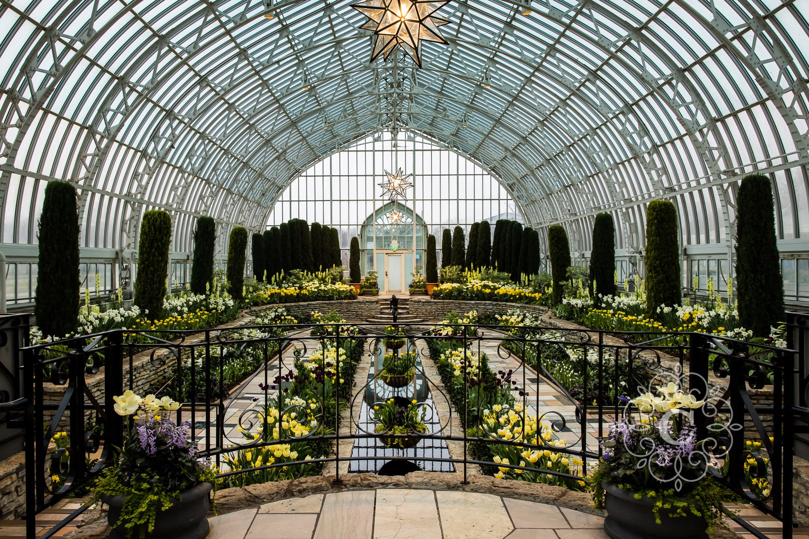 Proposal Engagement Photo Como Park MN