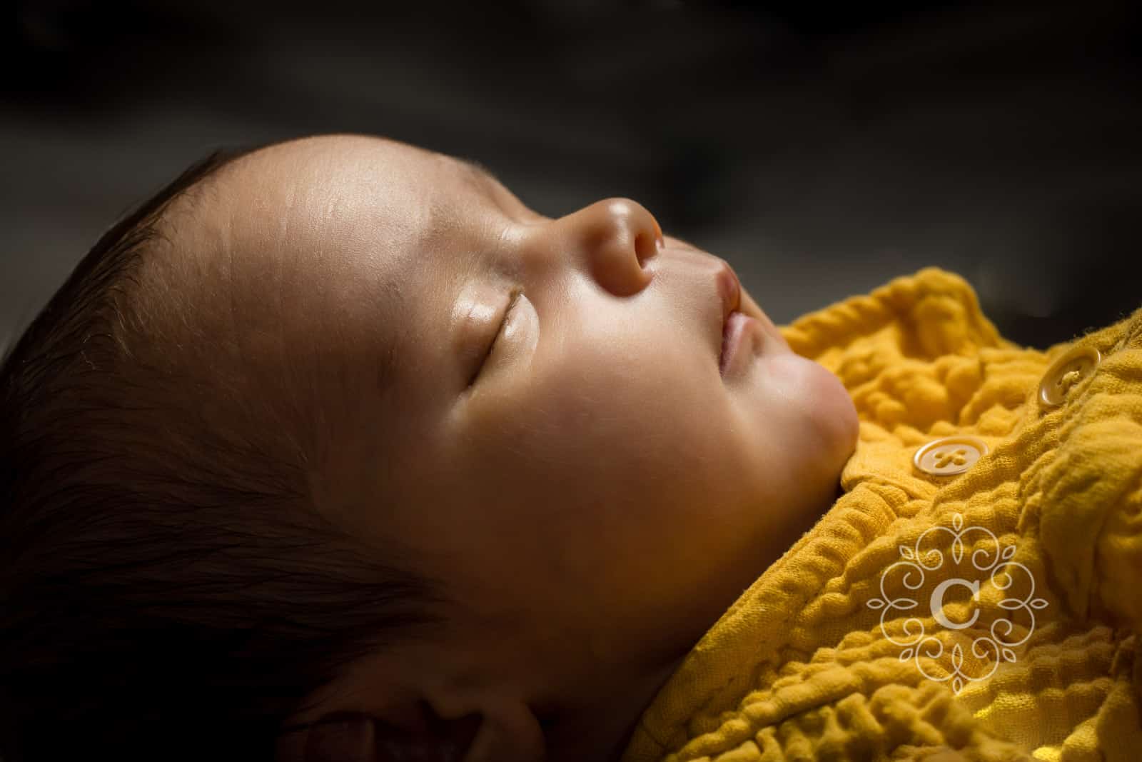 Minneapolis Newborn Family Photographer