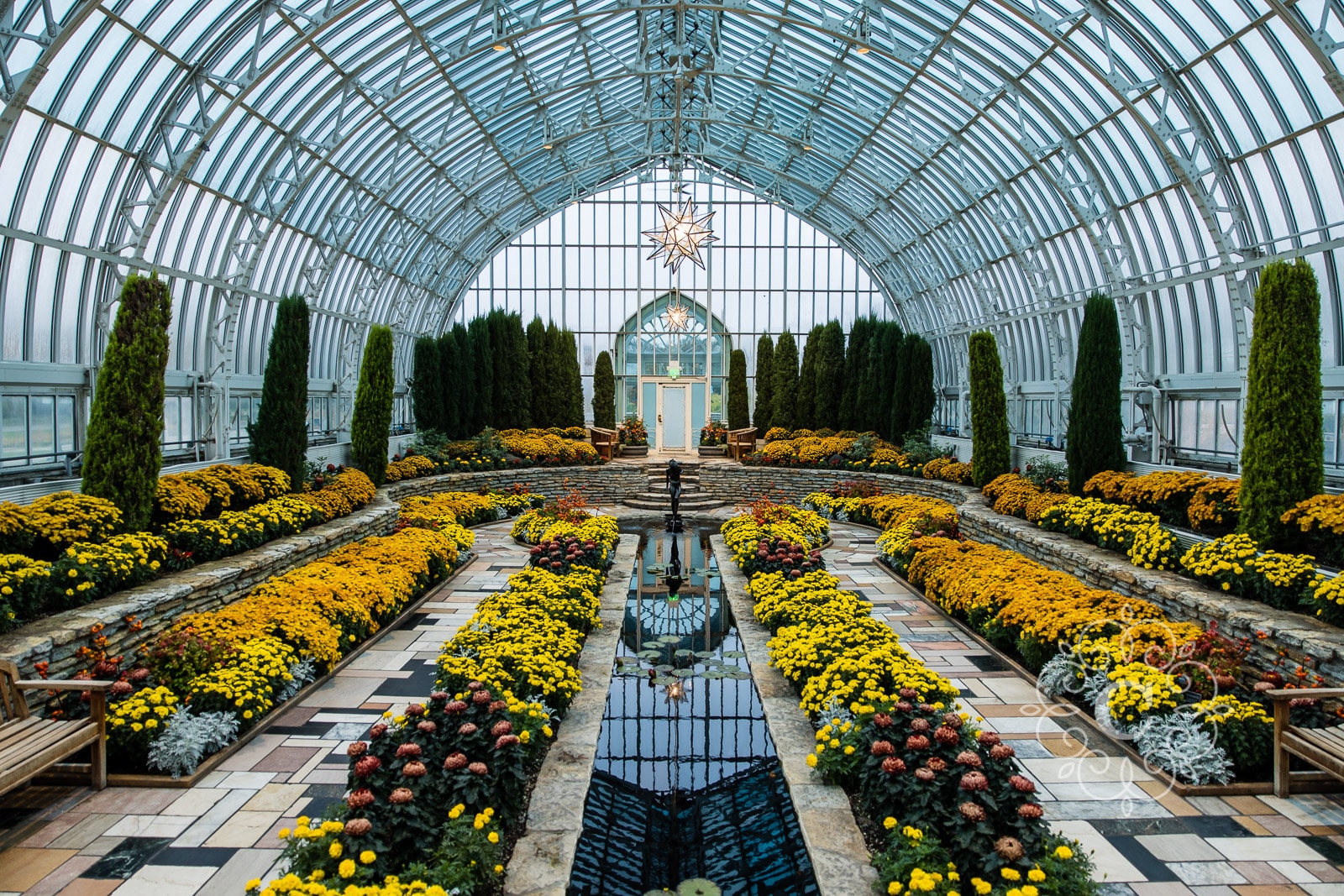 Como Conservatory Proposal Photography