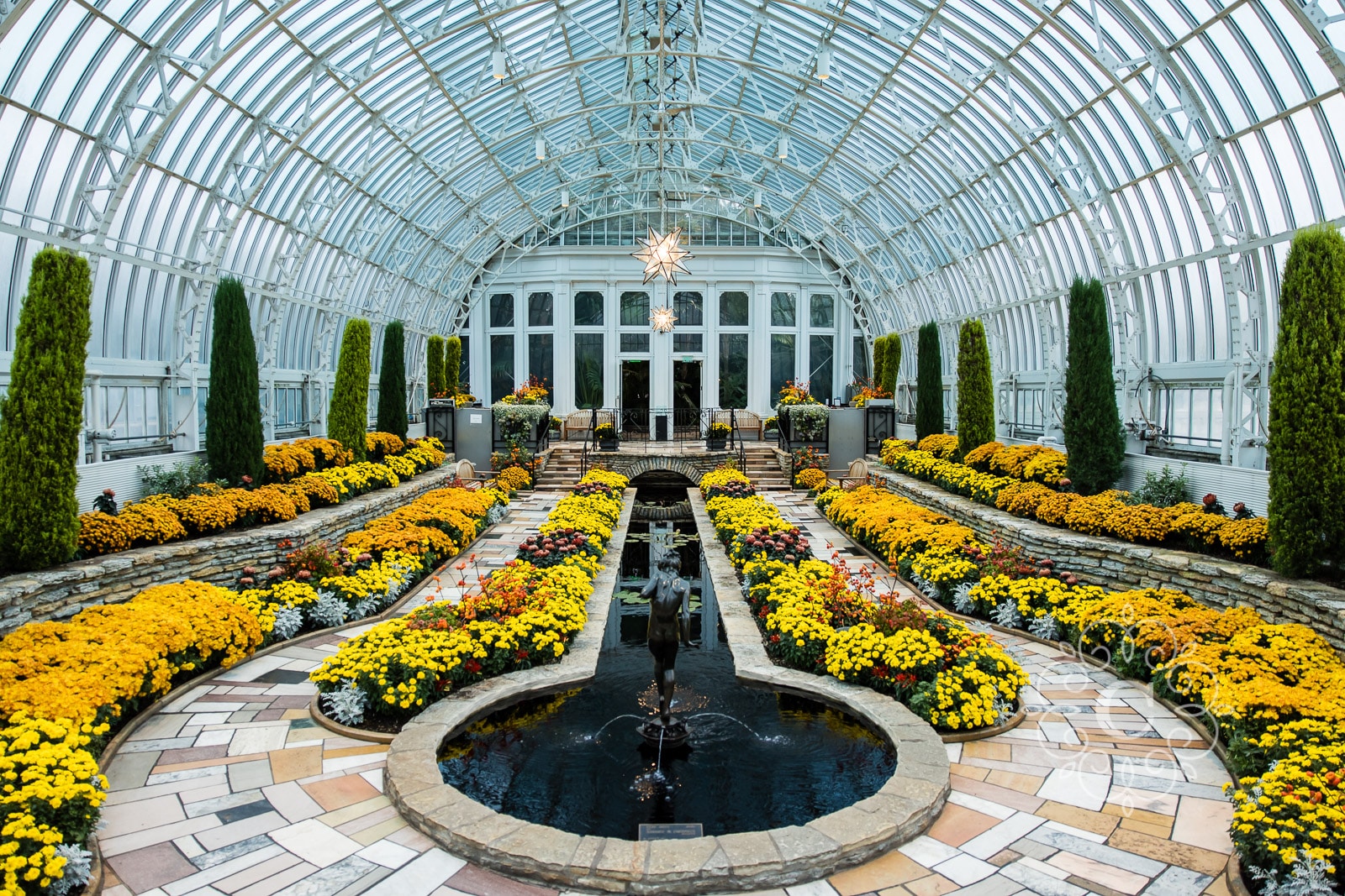 Como Conservatory Proposal Photography