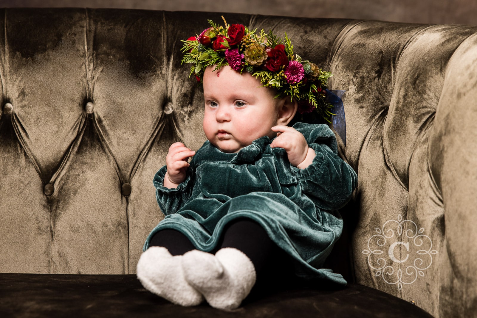 Family Baby Studio Photographer