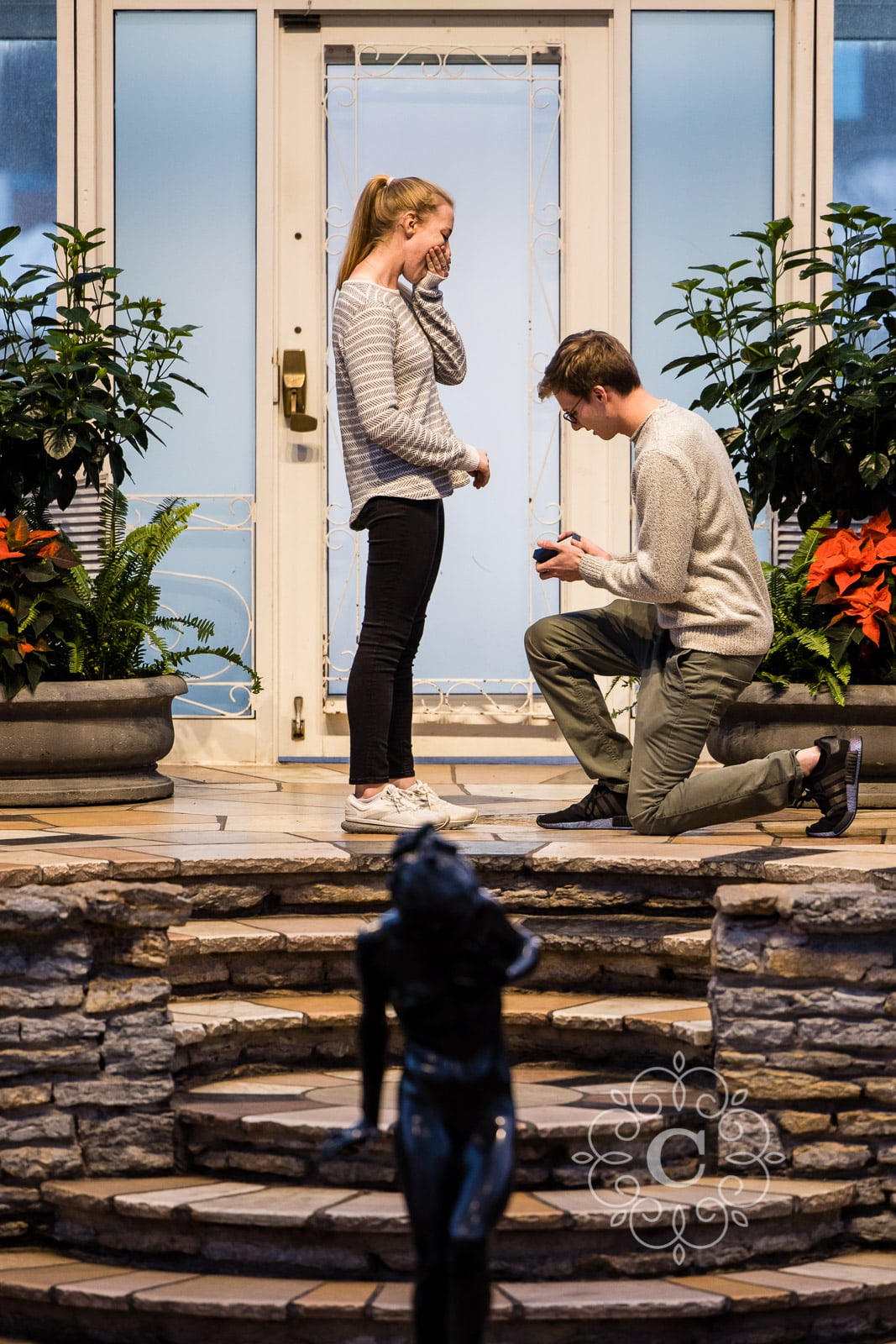 Sunken Garden Como Park MN Proposal Photo