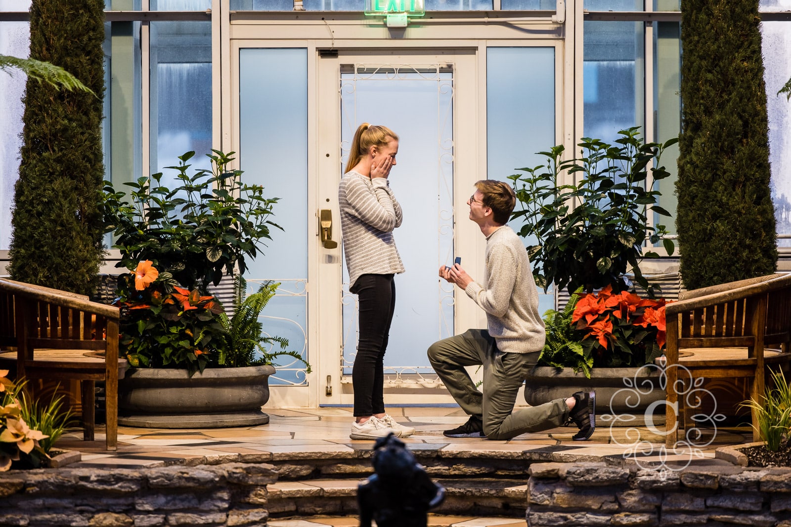 Sunken Garden Como Park MN Proposal Photo