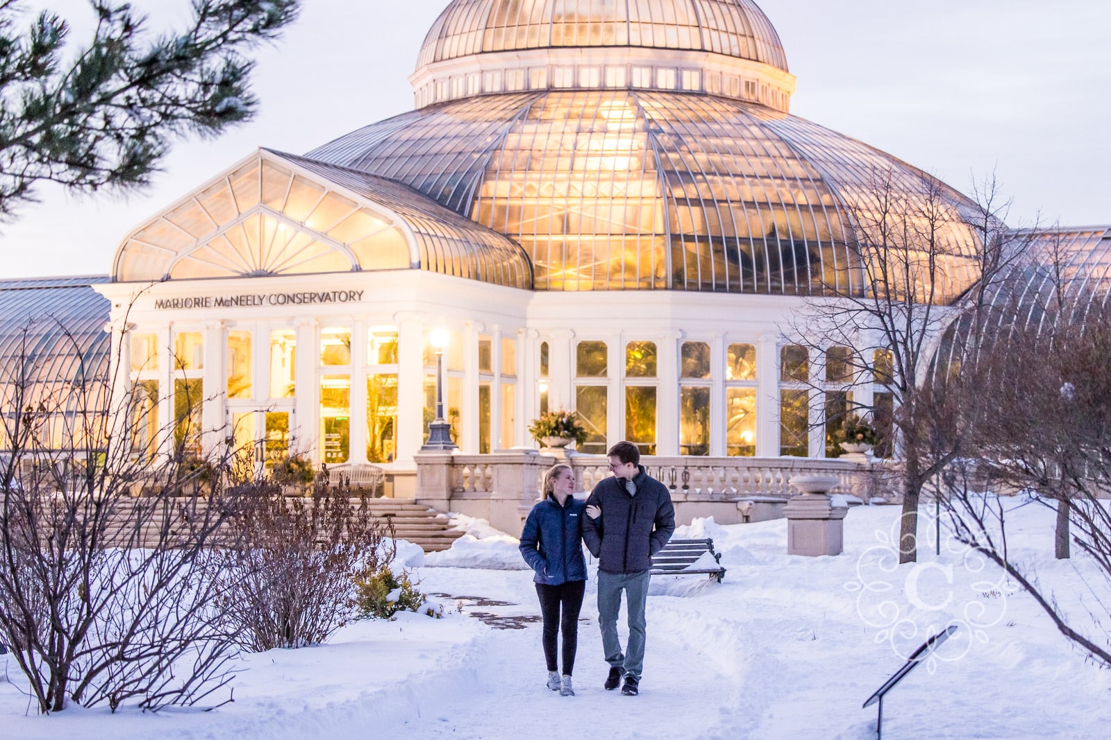 Sunken Garden Como Park MN Proposal Photo