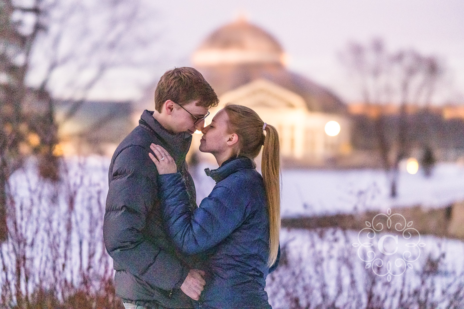 Sunken Garden Como Park MN Proposal Photo