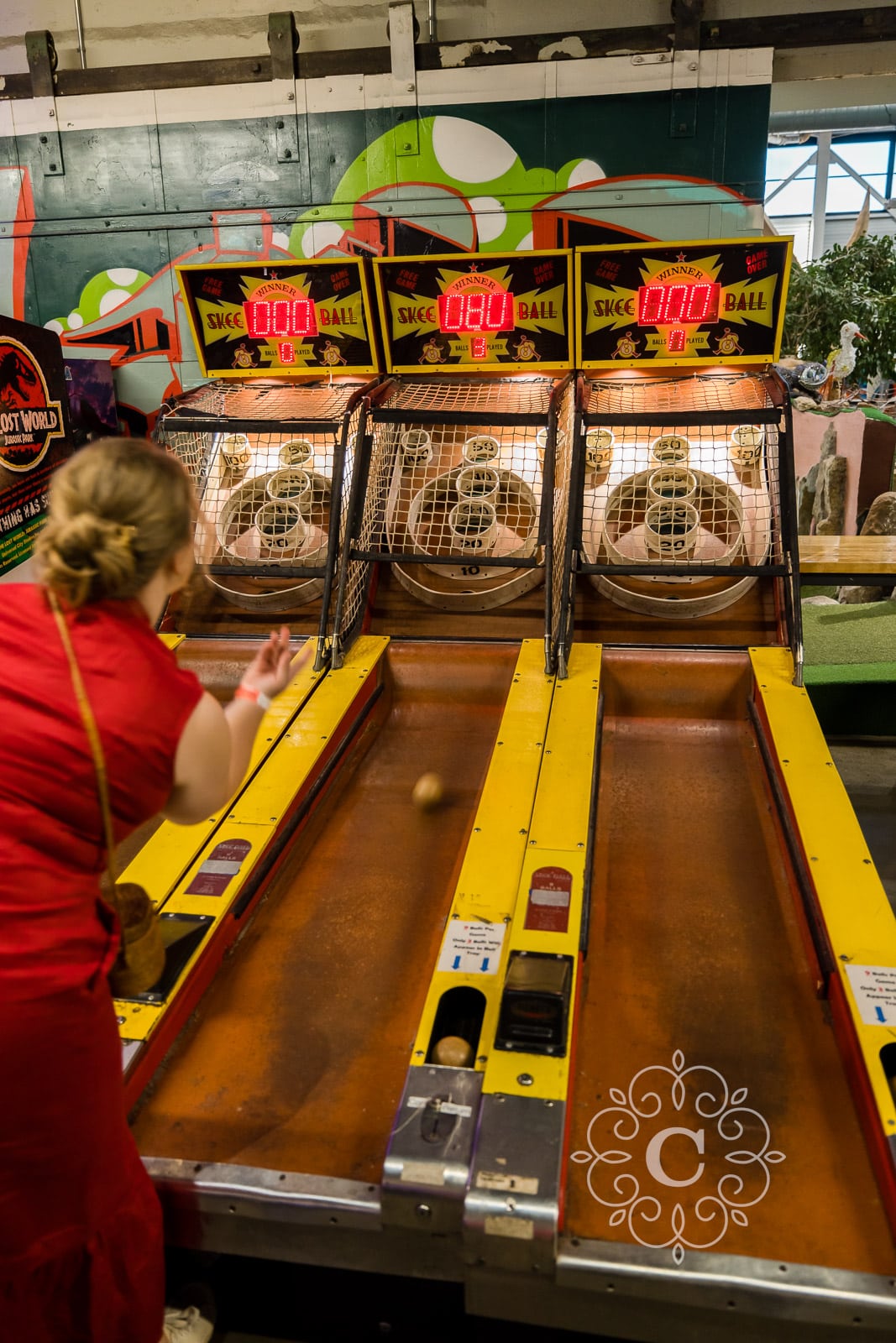 Can Can Wonderland Wedding Reception Photography MN