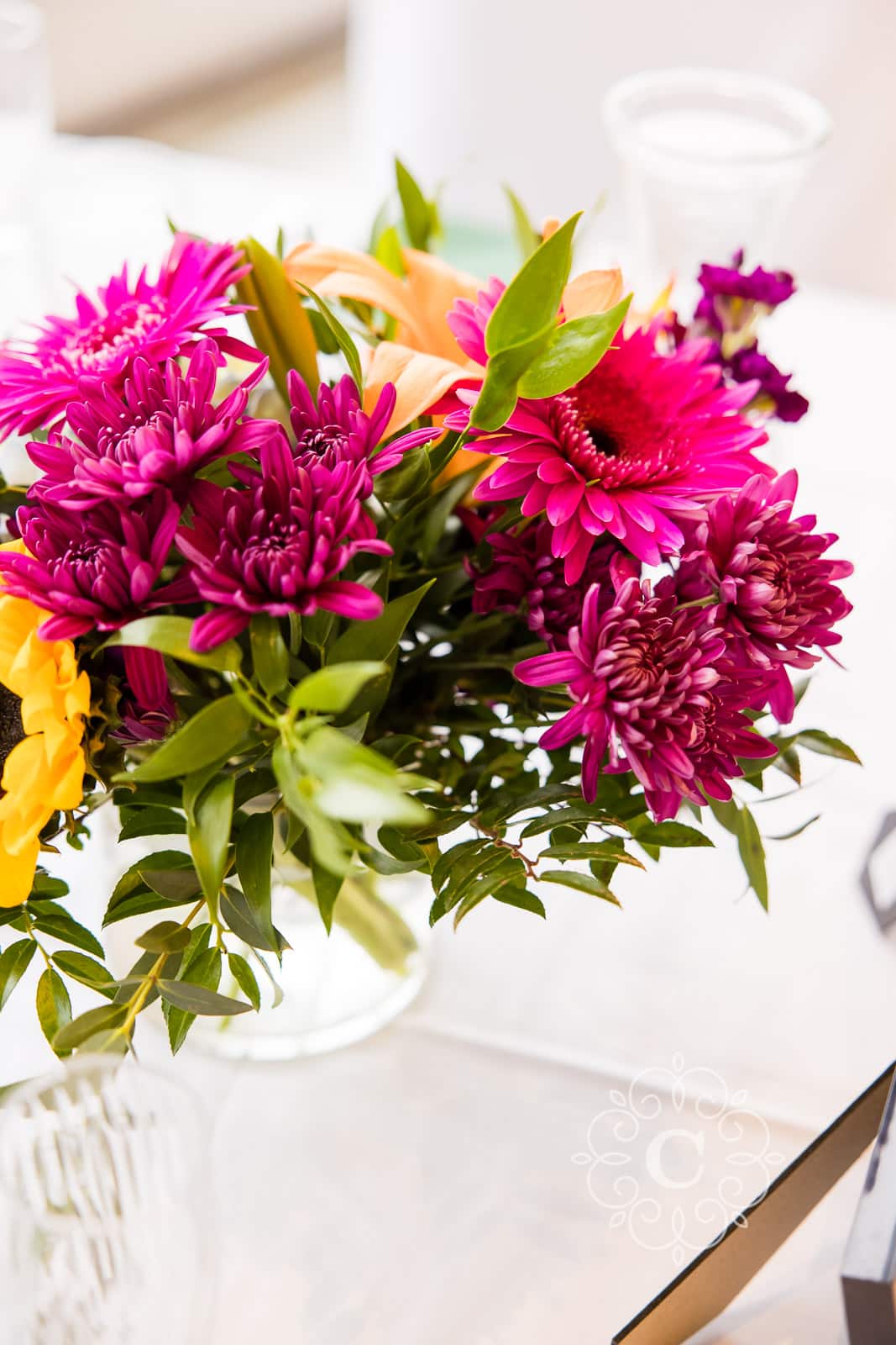 Como Park Covered Porch Wedding Reception Photo