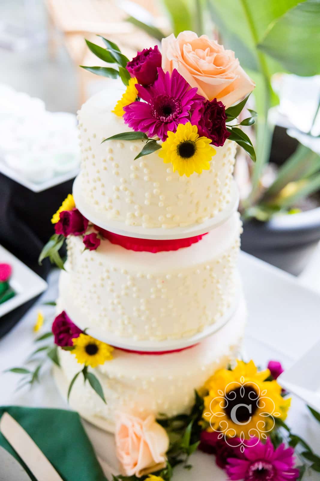 Como Park Covered Porch Wedding Reception Photo