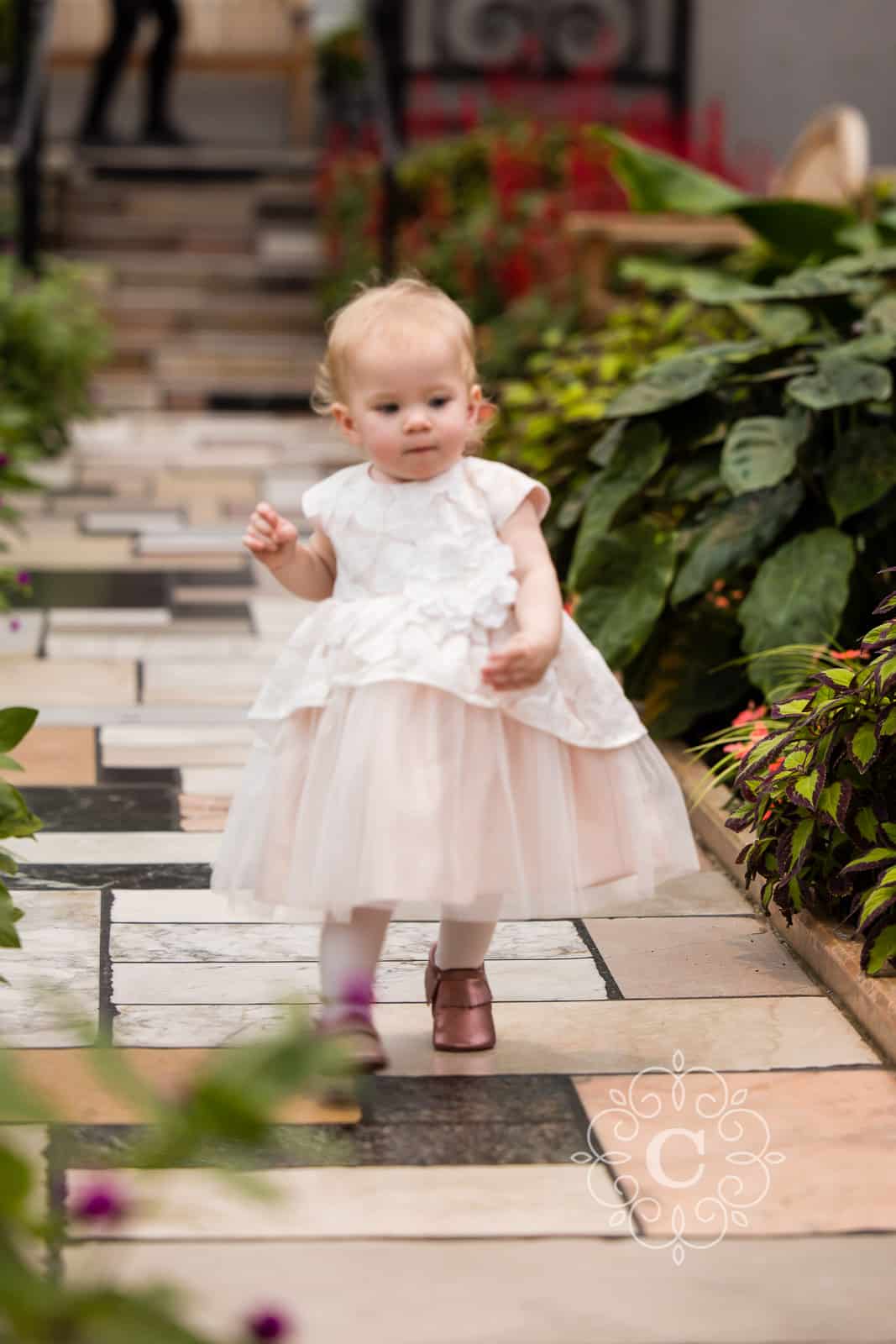 Como Park Conservatory Sunken Garden Wedding Photo