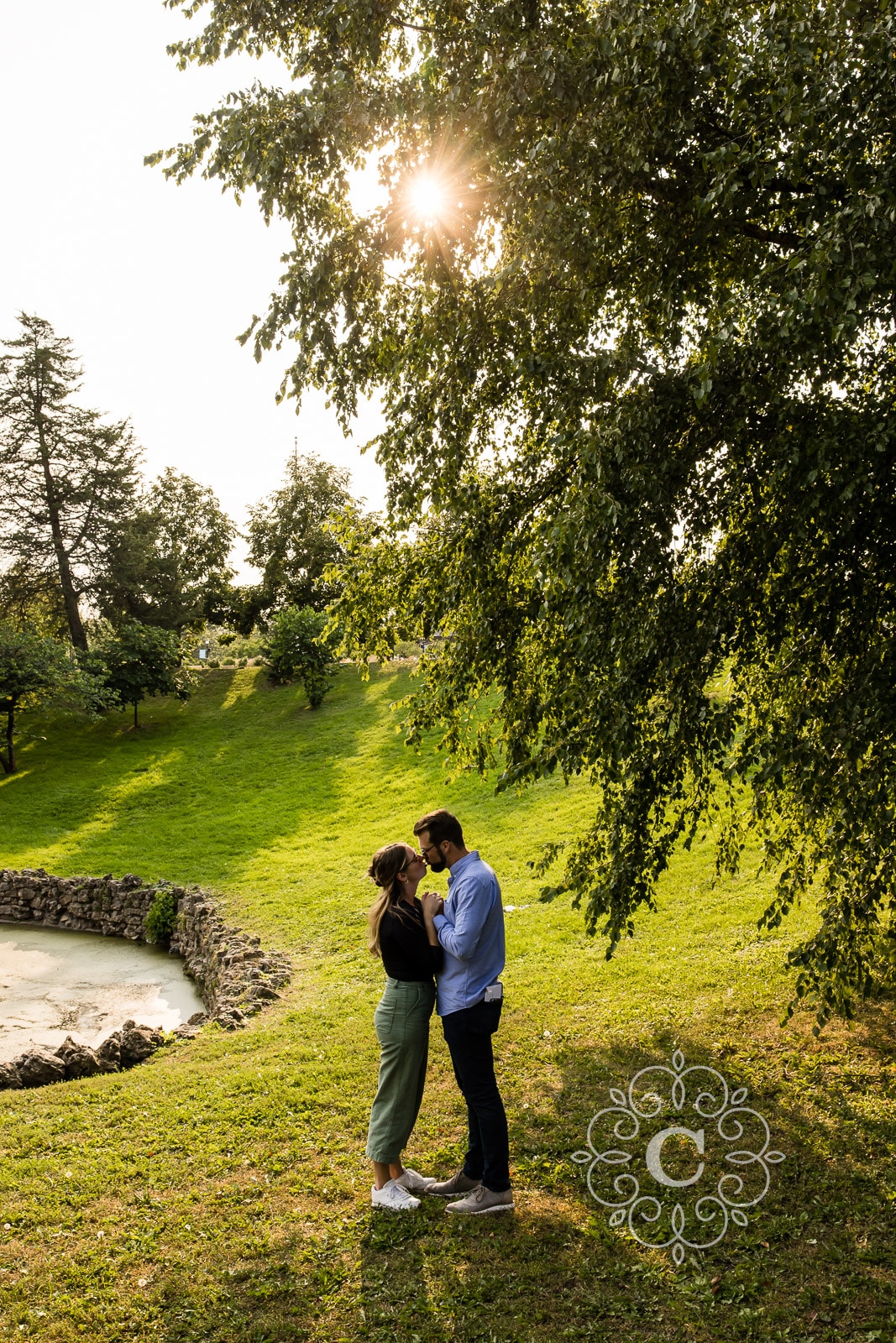 Sunken Garden Como Park Engagement Proposal Photo