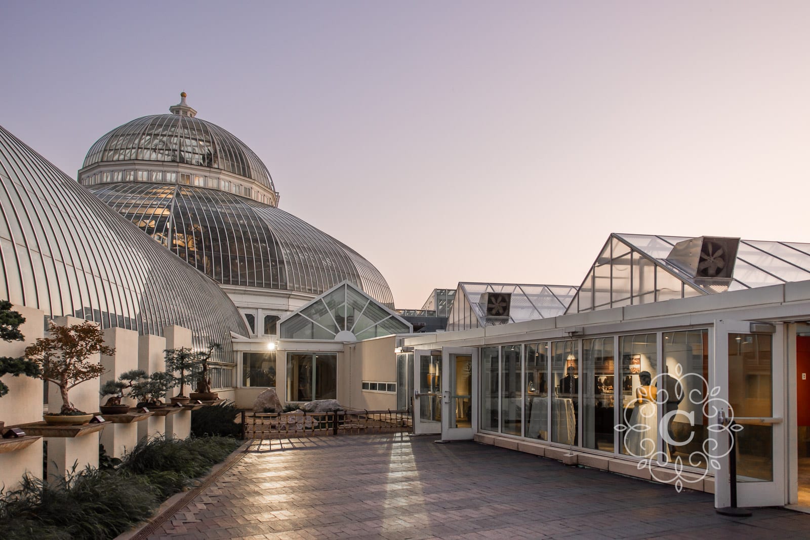 Ordway Garden Como Park Conservatory Wedding Photos