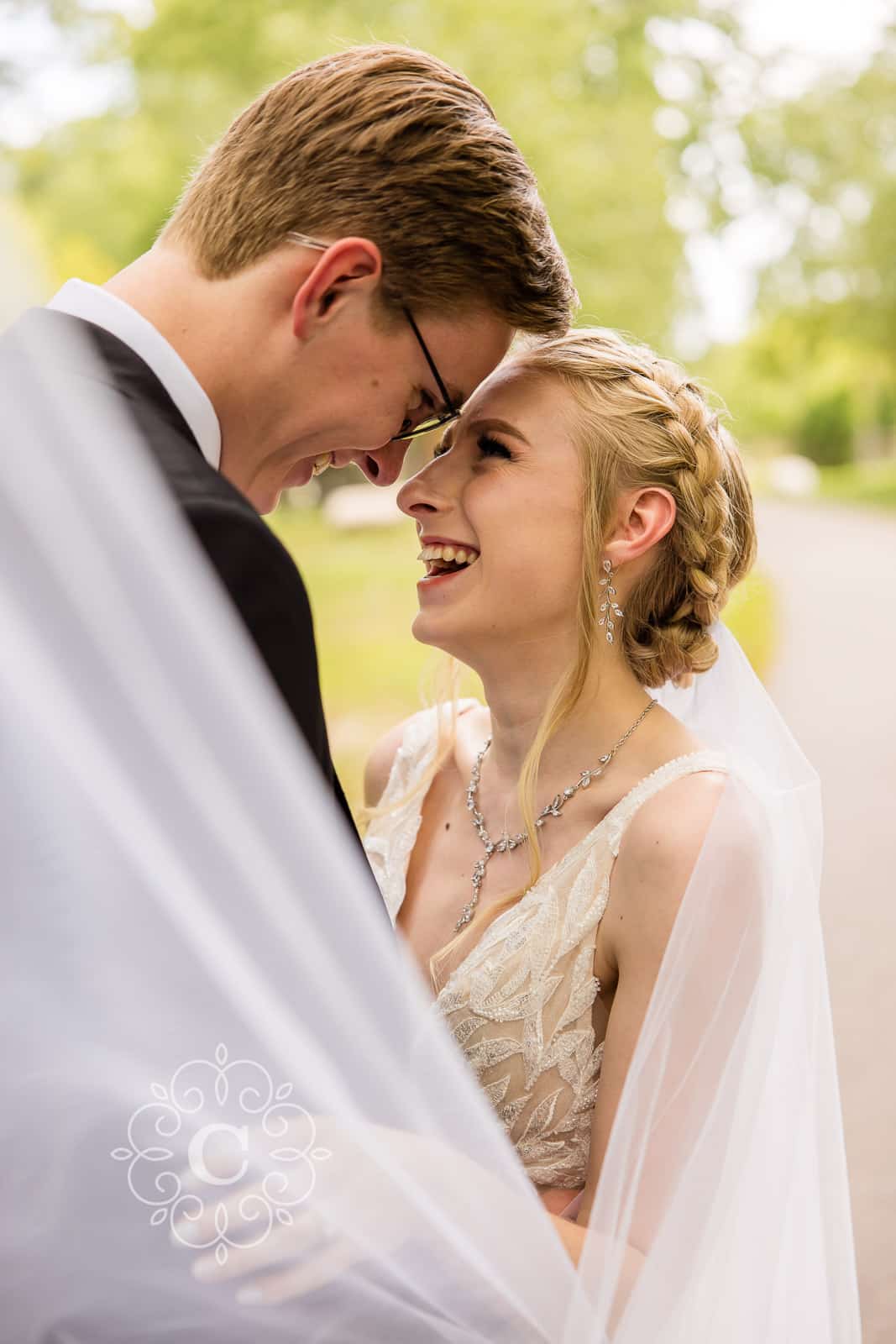 Roseville Central Park Muriel Sahlin Arboretum Wedding Photo