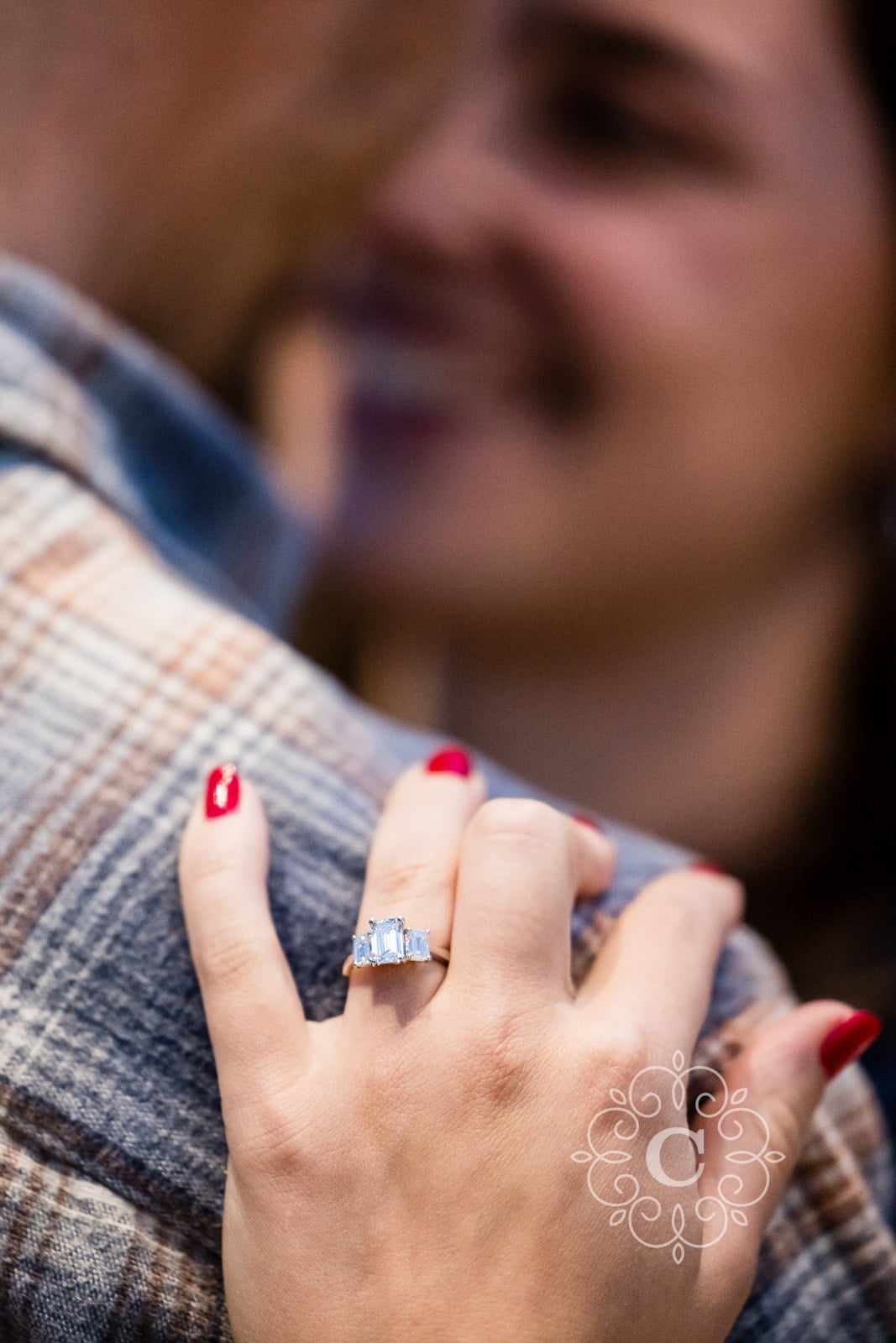 Sunken Garden Como Park Engagement Proposal Photo