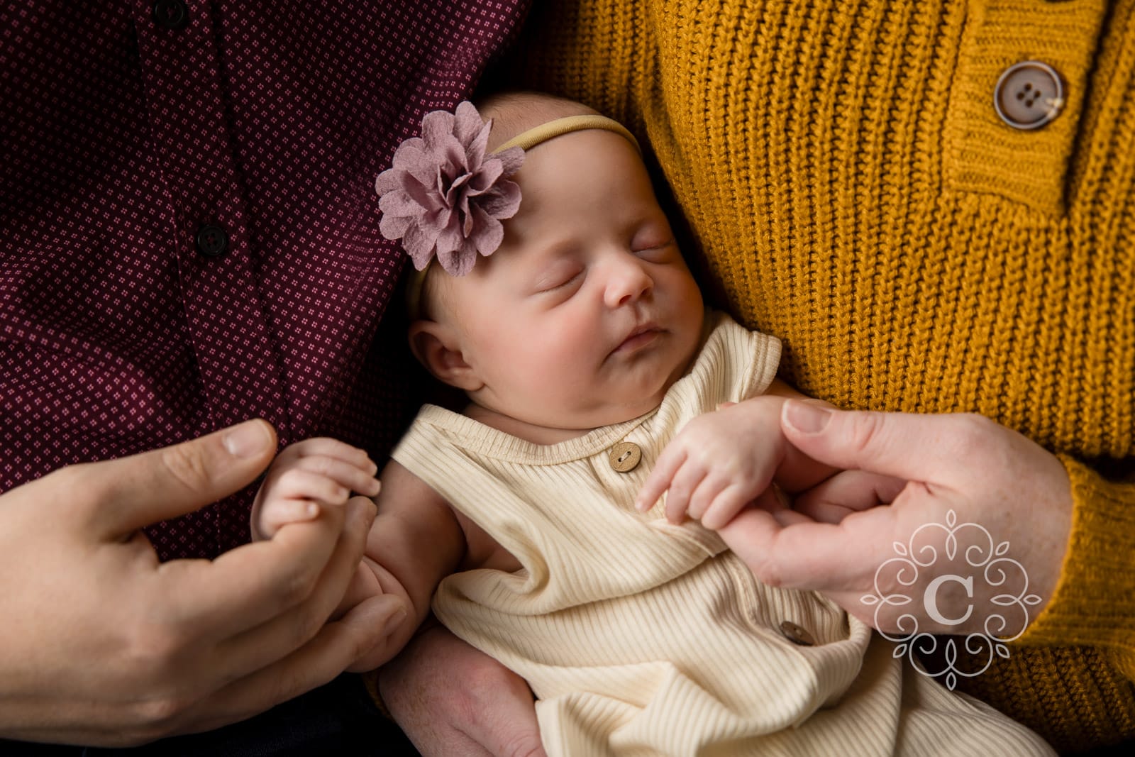 Minneapolis Newborn Photographers