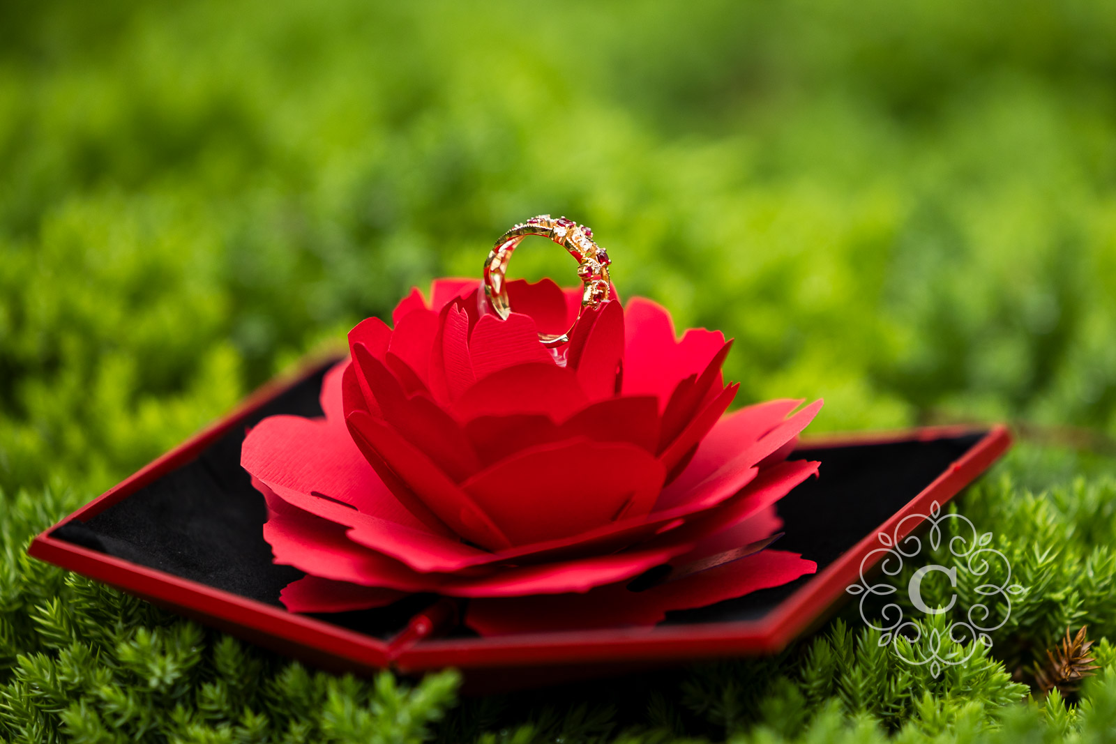Japanese Garden Como Park MN Wedding Photographer