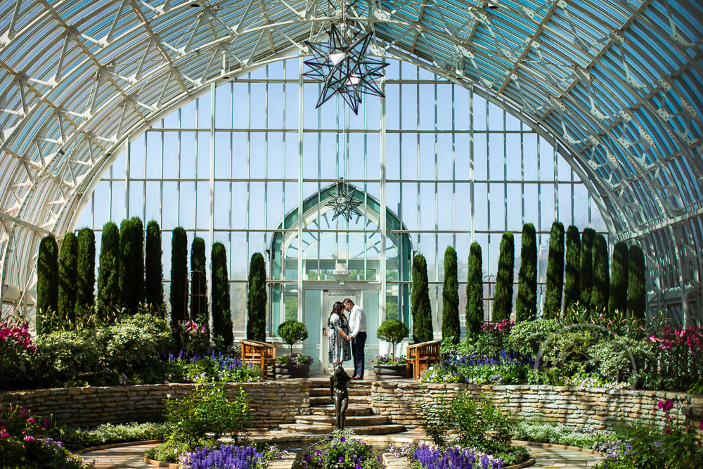 Como Park Conservatory St Paul MN Engagement Photo