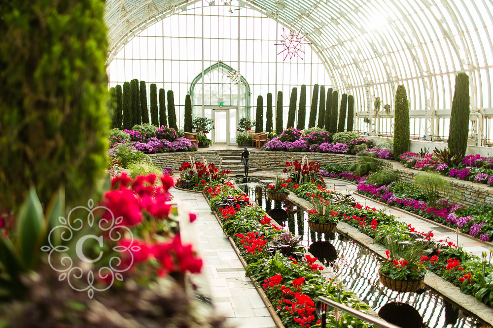 Como Park Conservatory St Paul MN Wedding Photo