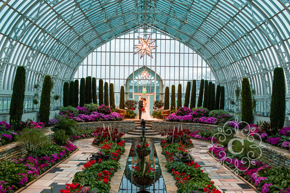 Como Park Conservatory St Paul MN Wedding Photo