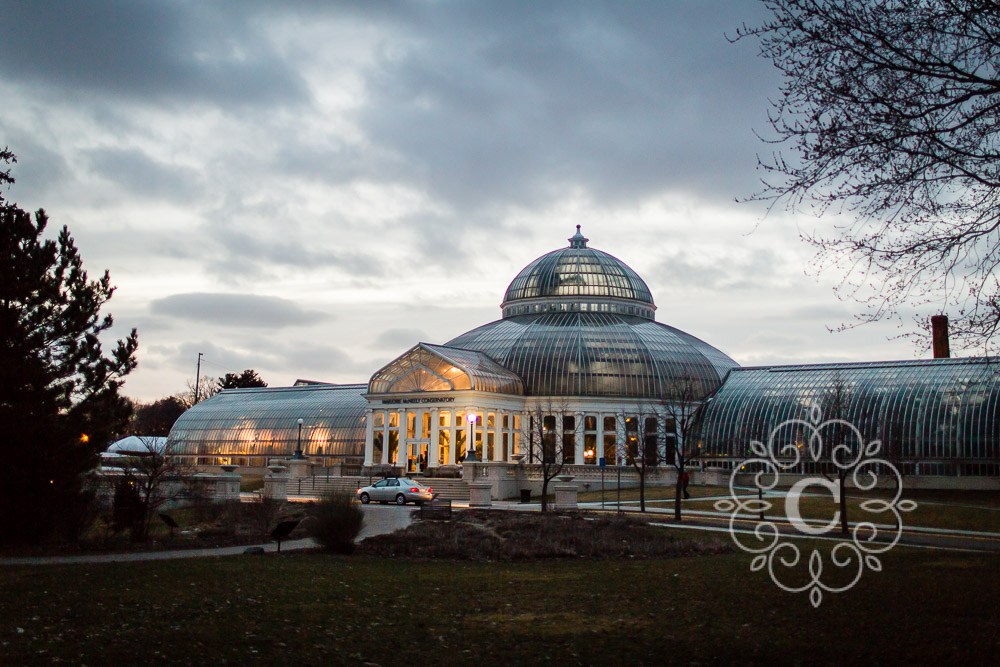 Como Park Conservatory St Paul MN Wedding Photo