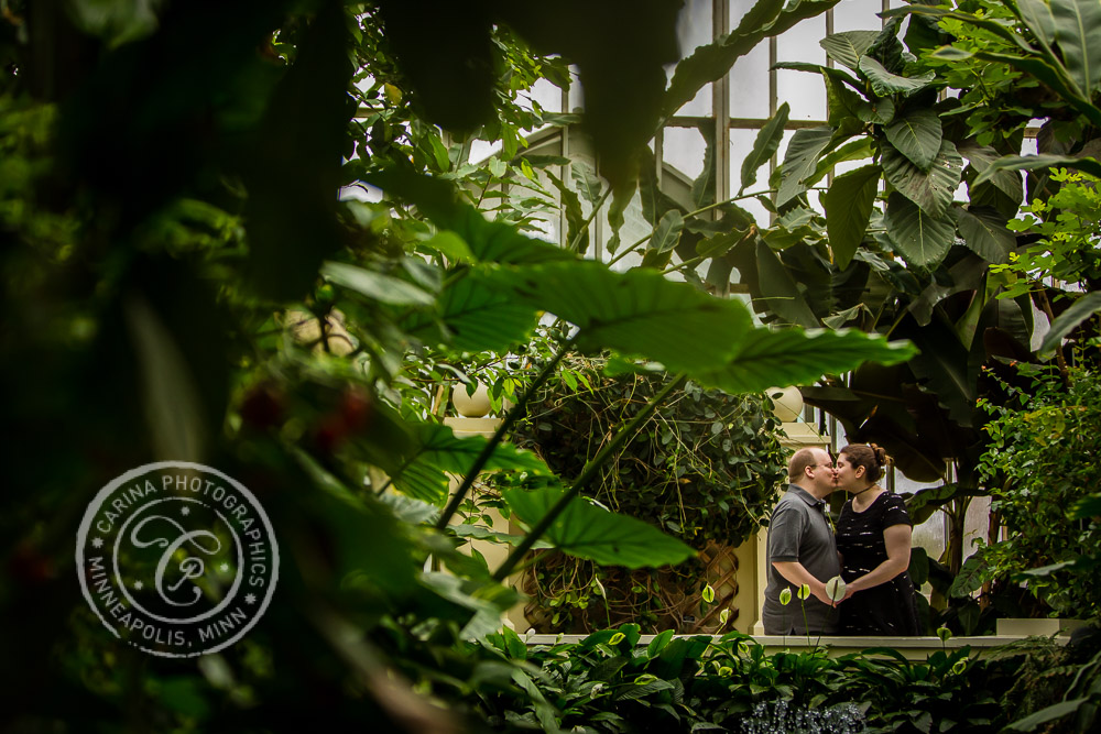 Minneapolis Engagement Photographer Como Park Conservatory MN Engagement Photo