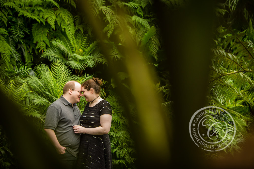 Minneapolis Engagement Photographer Como Park Conservatory MN Engagement Photo