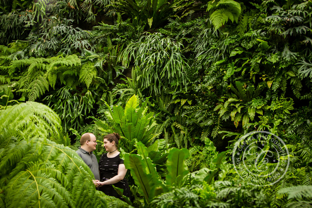 Minneapolis Engagement Photographer Como Park Conservatory MN Engagement Photo