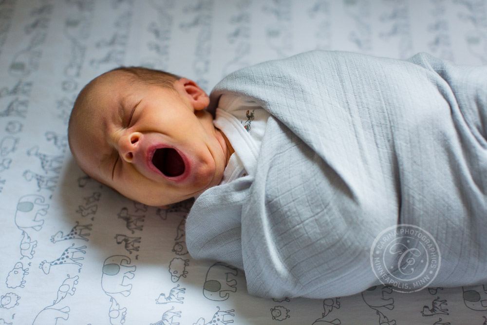 MN Newborn Photography