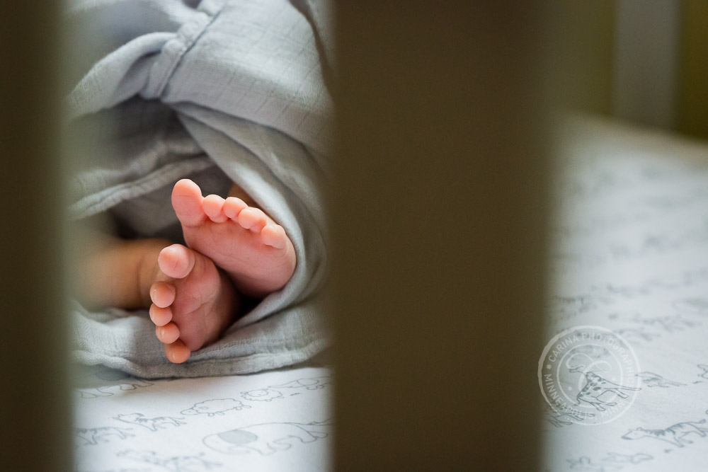 MN Newborn Photography