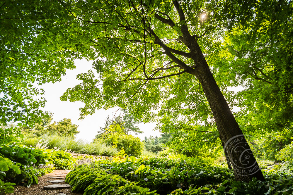 MN Landscape Arboretum Wedding Photo