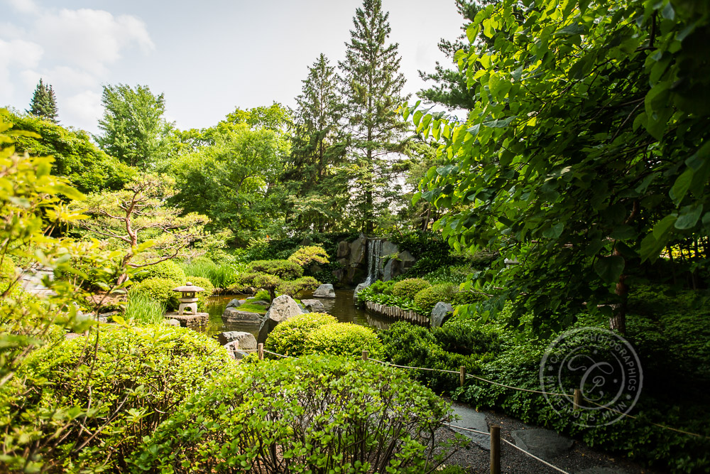 MN Landscape Arboretum Wedding Photo