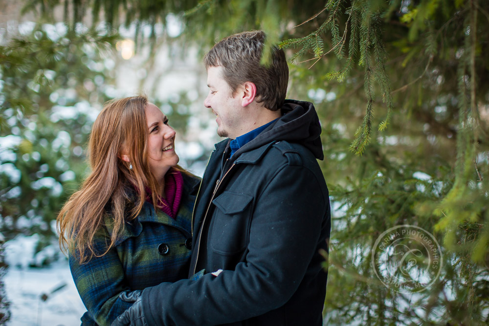 Winter Minnesota Landscape Arboretum Engagement Session Photos