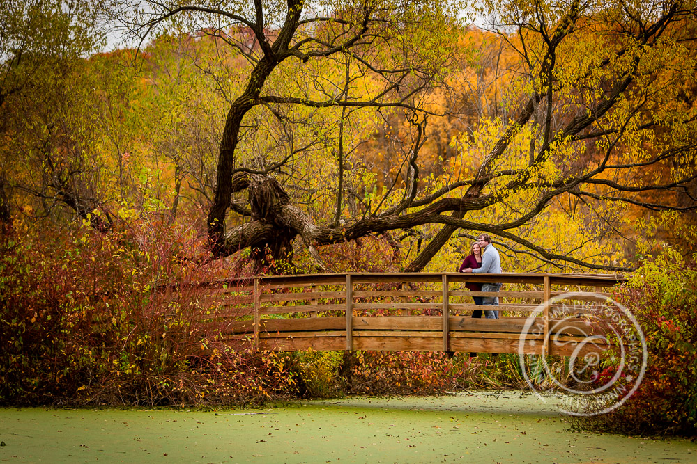 MN Landscape Arboretum Engagement Photo